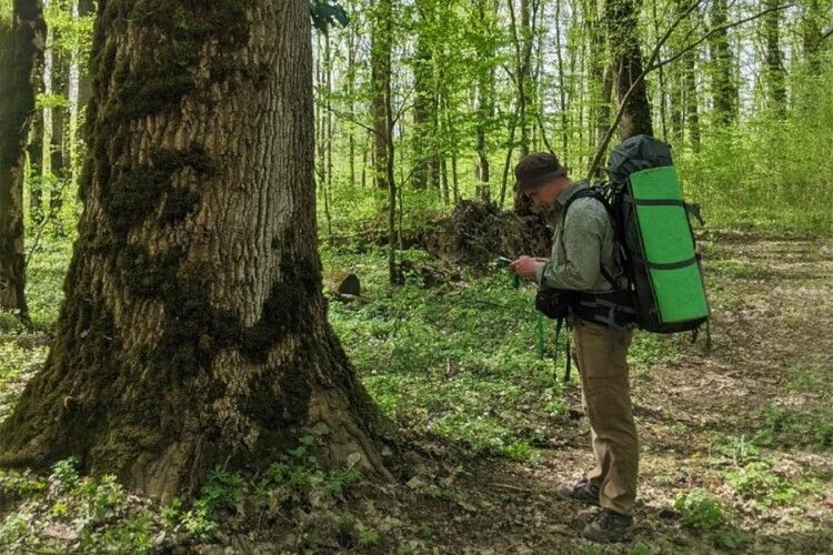 Скільки грошей туристи залишили в громадах Волині