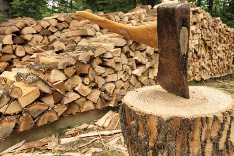 Опалювальний сезон 2022/2023: в кожному лісництві Волині створюють запас дров