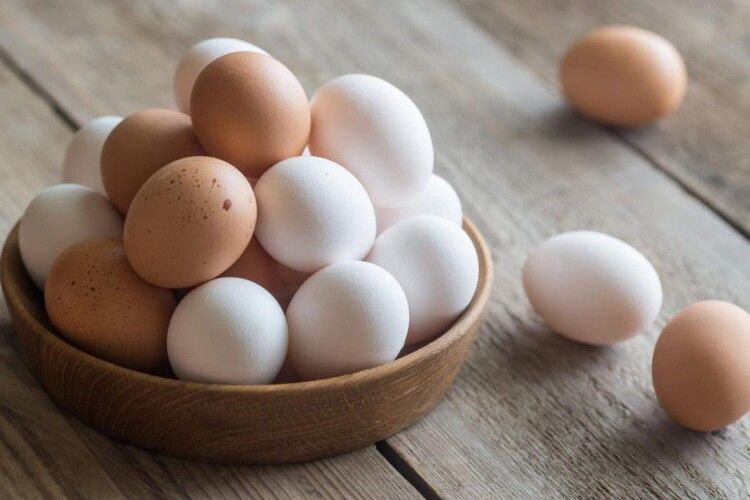 Яйця – універсальний продукт на кожен день