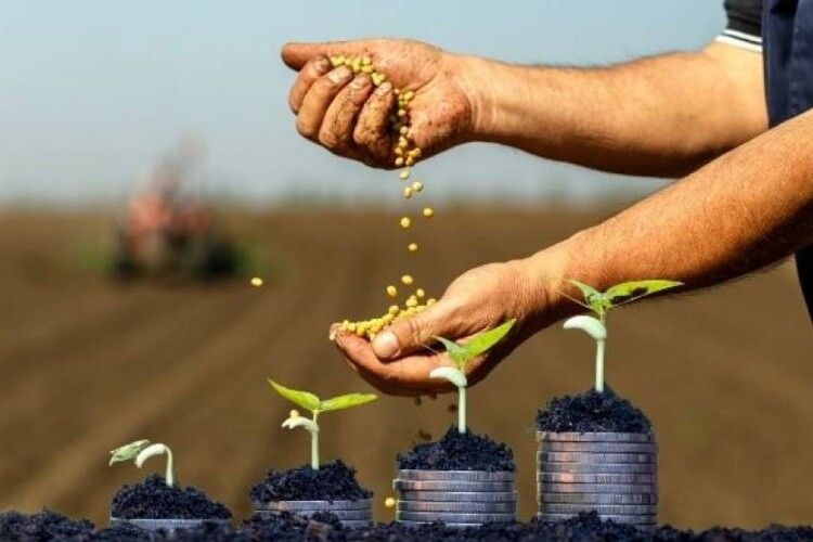 Агропідприємства Волині показали вражаючий ріст в 12 відсотків