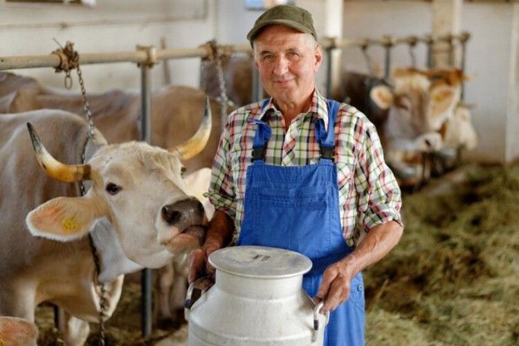 Приватна фірма заохочує мешканців Ратнівщини створювати сімейні молочні ферми