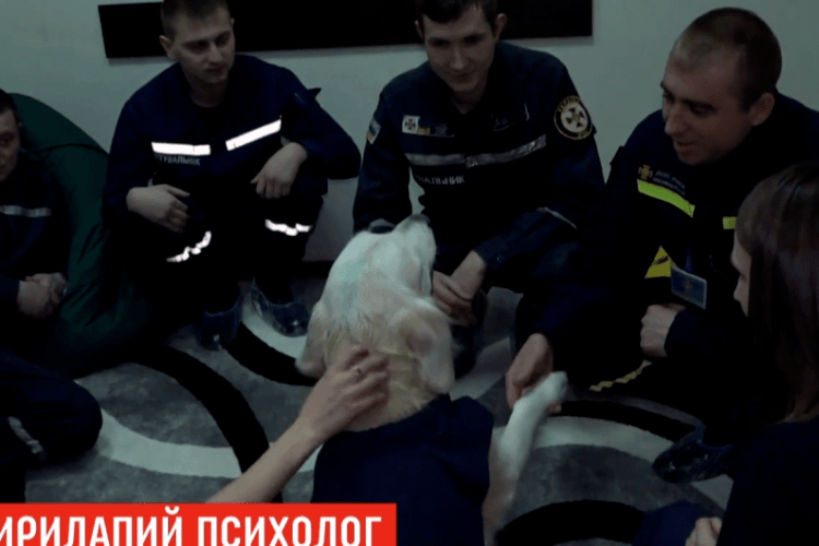Пес рятує вогнеборців від стресу