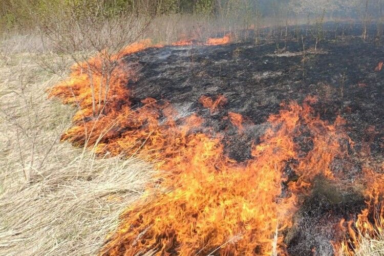 За добу на Волині вигоріло 2 гектари сухої рослинності (Відео)