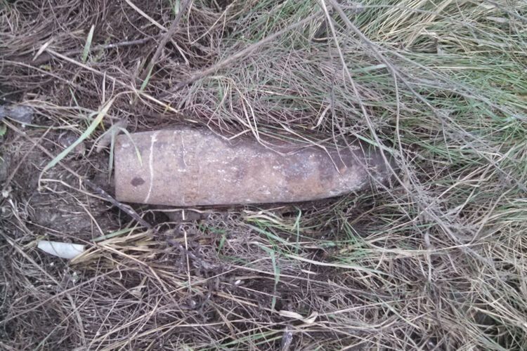 На Волині знайшли 5 снарядів та 2 гранати часів Другої світової війни