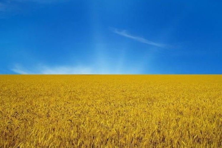 Україна опустилася в рейтингу глобальної конкурентоспроможності