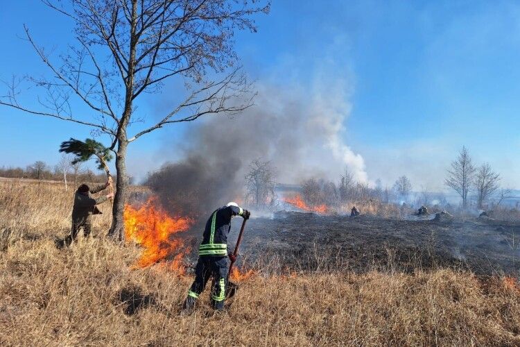 На Волині виникло 20 пожеж через підпали сухої трави, двох порушників оштрафували