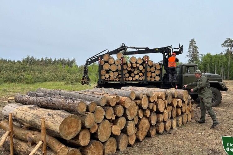 Скільки лісоматеріалу та дров паливних лісівники Полісся надали військовим з початку року