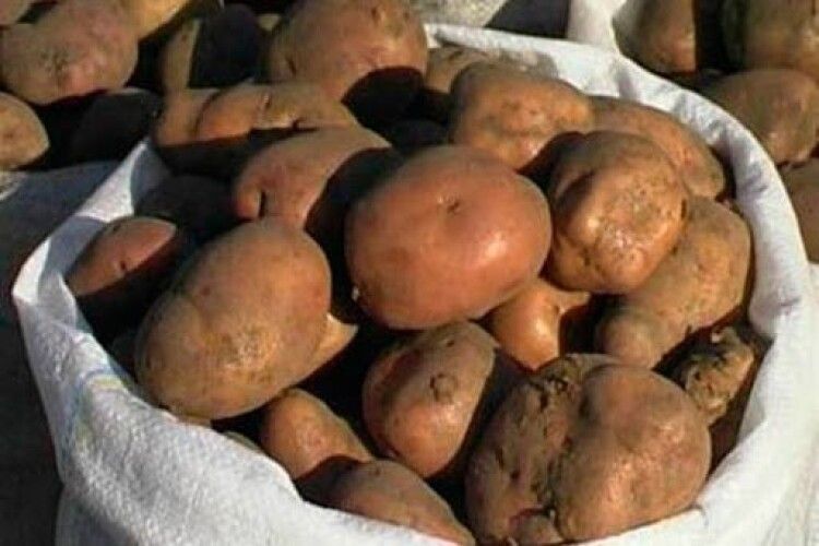 Волинянин вкрав в односельчанки два мішки картоплі – «на продаж»
