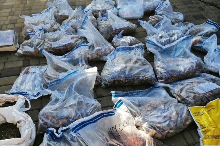 Знахідка на мільйон: у рівнянина в будинку вилучили «сонячне» каміння