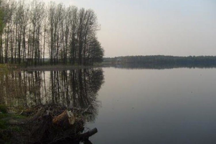На Рівненщині знайшли мертвими двох чоловіків