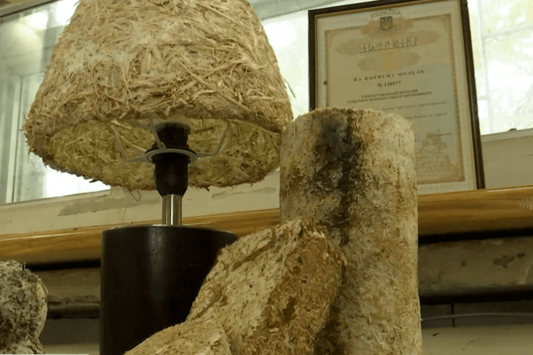 Херсонські науковці створили пластик із грибів