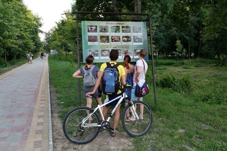 У луцькому парку ставлять інформаційні стенди