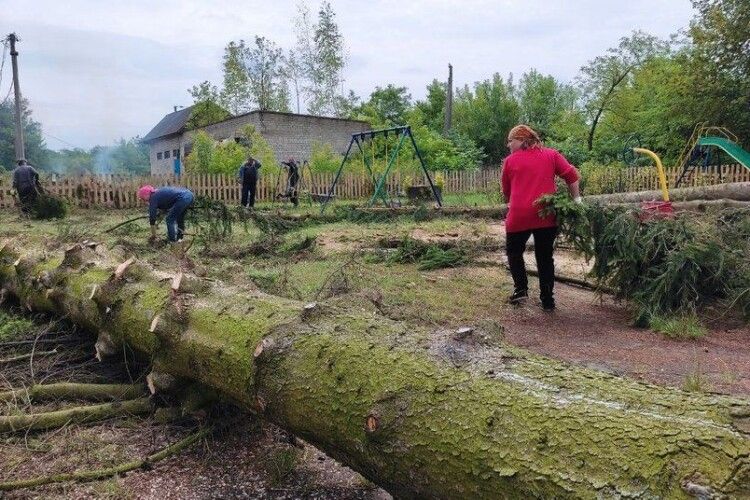 Дерева викорчувало за хвилину: в селі на Волині люди прибирають наслідки буревію і рахують збитки (Відео)