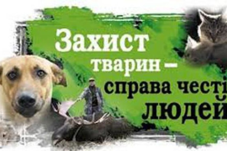 Рівненські зоозахисники просять приєднатися до всеукраїнського маршу за права тварин