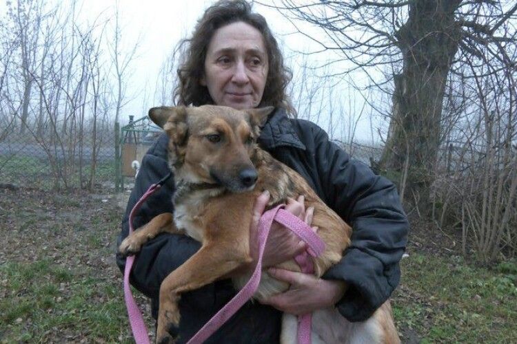 Волонтерка з Луцька змінила квартиру на сільську хату заради порятунку собак (Відео)