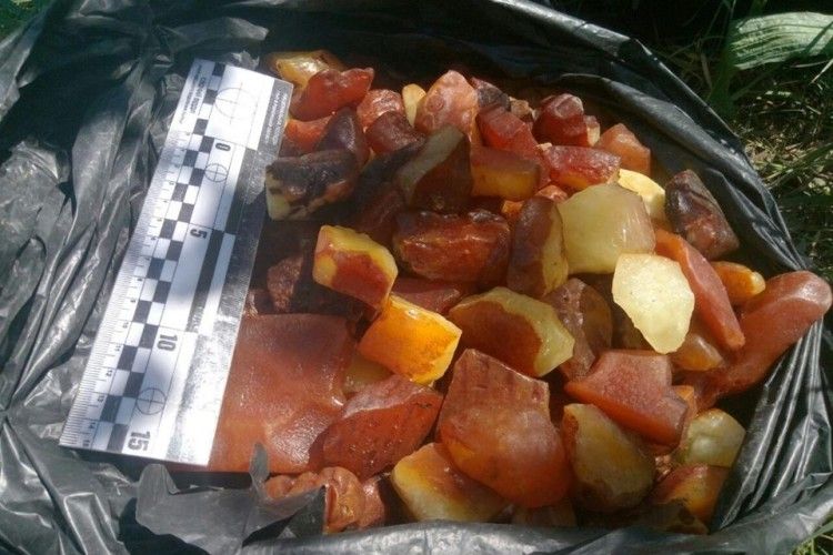 Сарненські патрульні злапали перевізника бурштину