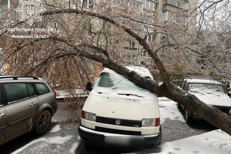 Перекриті вулиці та потрощені авто: у Львові негода наробила лиха (Фото)