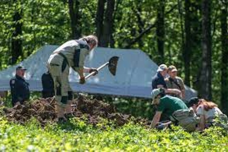 Ексгумація жертв Волинської трагедії: знайдено останки 30 людей
