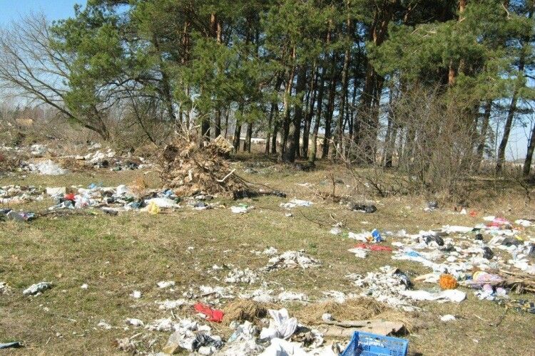 Ліси Волині та Рівненщини перетворюються на сміттєзвалища