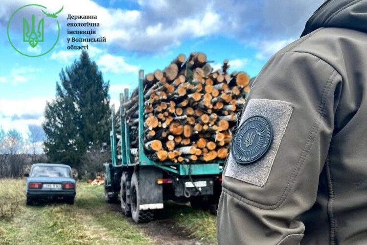 На Волині виявили вантажівку із невідомою деревиною