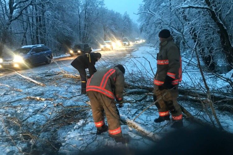 На Волині дерева перекрили рух на дорозі (Фото)