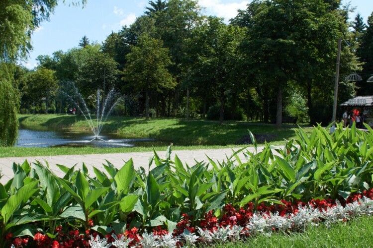 В центральному парку Луцька відкрили новий тренажерний зал (Відео)