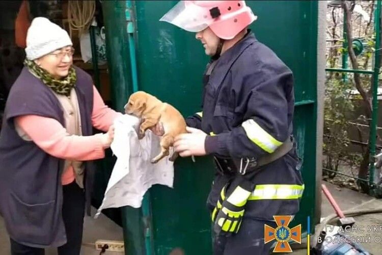Бійці ДСНС героїчно врятували цуценя Боссі (Фото)
