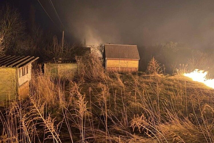 На Волині через пожежу сухої трави ледь не згорів дачний масив 