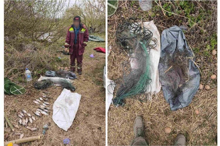 Порушення під час нересту: волинянин завдав шкоди рибному господарству на 56 тисяч гривень