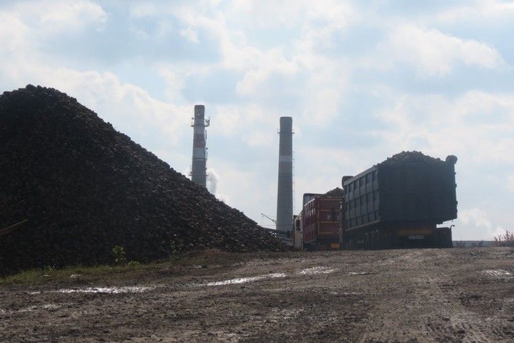 Фахівці Національної академії аграрних наук вивчали знайомилися з роботою Гнідавського цукрового заводу