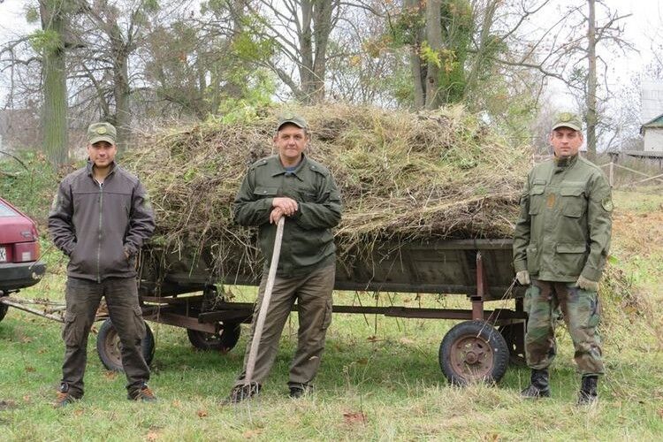 У парку села Омельне Ківерцівського району посадили 500 лип