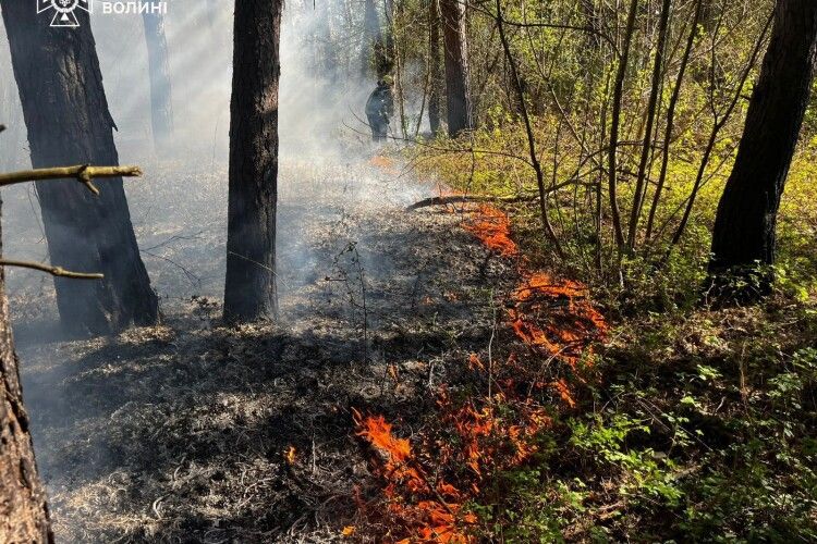 На Волині дитячі пустощі з вогнем призвели до загорань у двох громадах