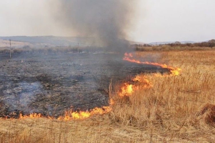 Рятувальники нагадують про заборону самовільного спалювання сухої рослинності 