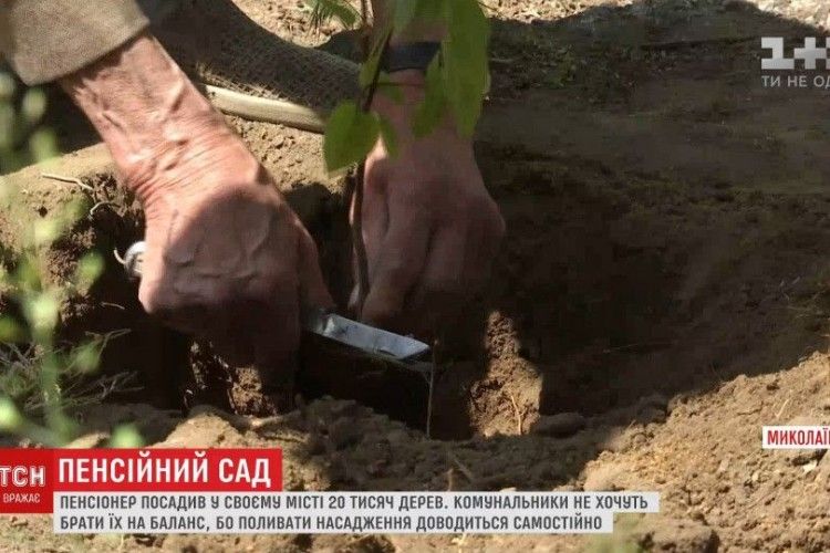 Пенсіонер з Миколаєва самотужки висадив у місті 20 тисяч дерев