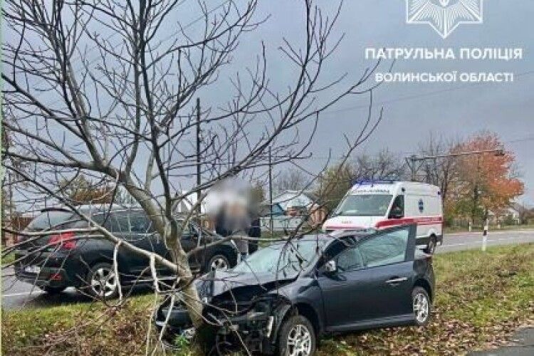 На Волині Renault злетіло з дороги та зіткнулося з деревом