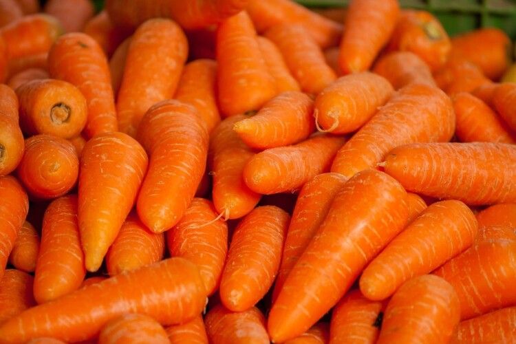 Хто з волинян садить моркву в сніг, отримує суперовий урожай