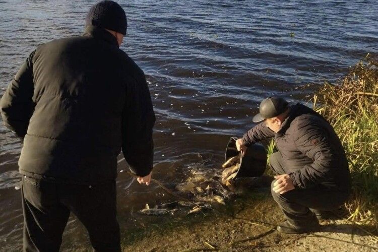 У Ковельське водосховище випустили близько пів тонни риби