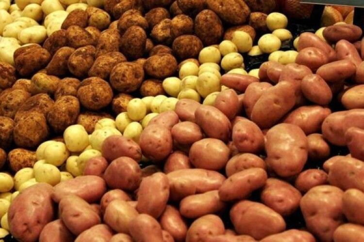 У супермаркетах з'явилася картопля по 126 гривень за кіло