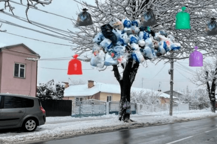 Мешканці Рівного розвісили на дереві пакети зі сміттям
