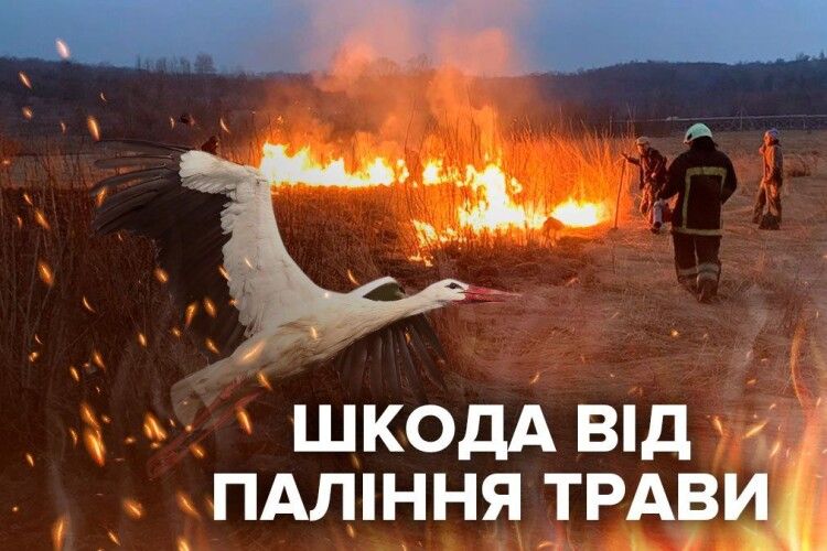 На Волині упіймали підпалювача