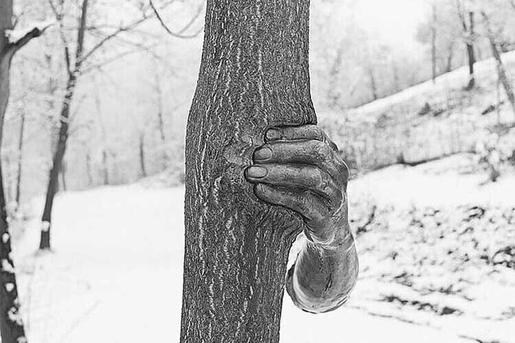 Як на дереві з’явилась бронзова рука