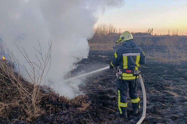 У селах на Волині горіли понад два гектари сухостою