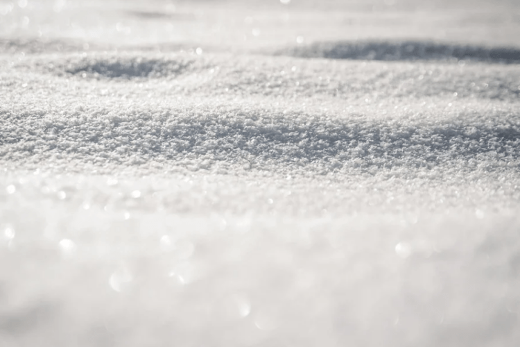 Метеоролог розповів, чи випаде сніг в Україні у листопаді