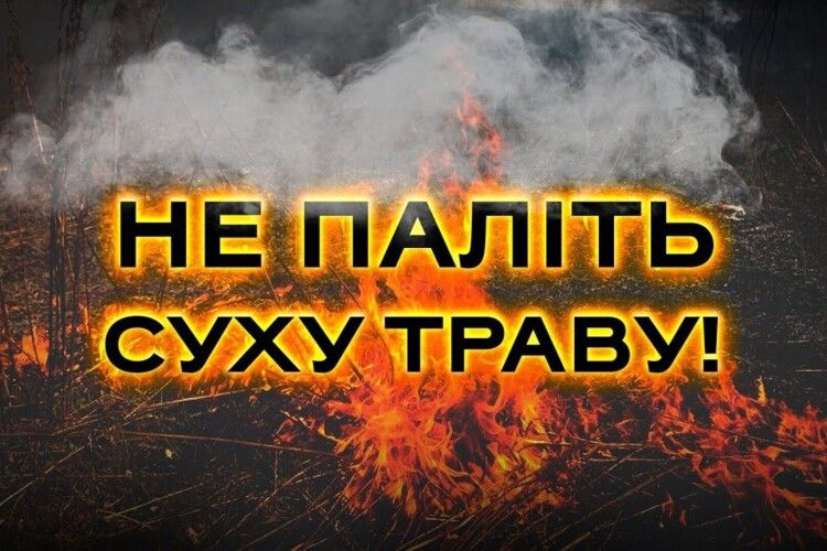 У мальовничому волинському селі горів сухостій