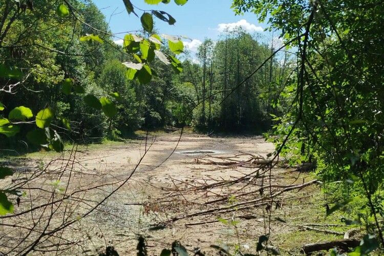 У нацпарку на Волині висихають водойми