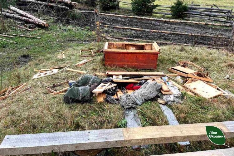 Розгромлені вулики та пошкоджені дерева: показали наслідки «господарювання» ведмедів у Карпатах (Фото)