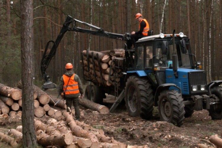 Волинські лісівники заготовляють дрова для військових та жителів Миколаївщини