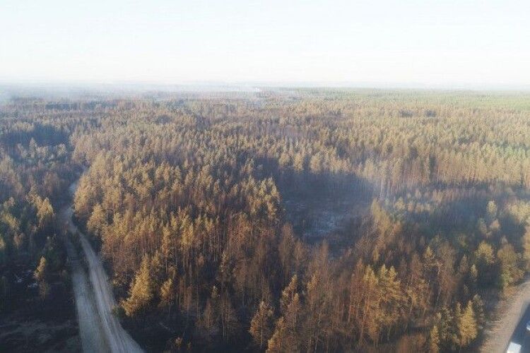 На Луганщині загасили ліс, що палав кілька днів