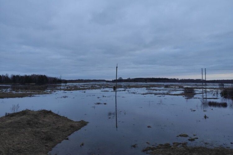 У громаді на Волині затопило 5 тисяч гектарів угідь