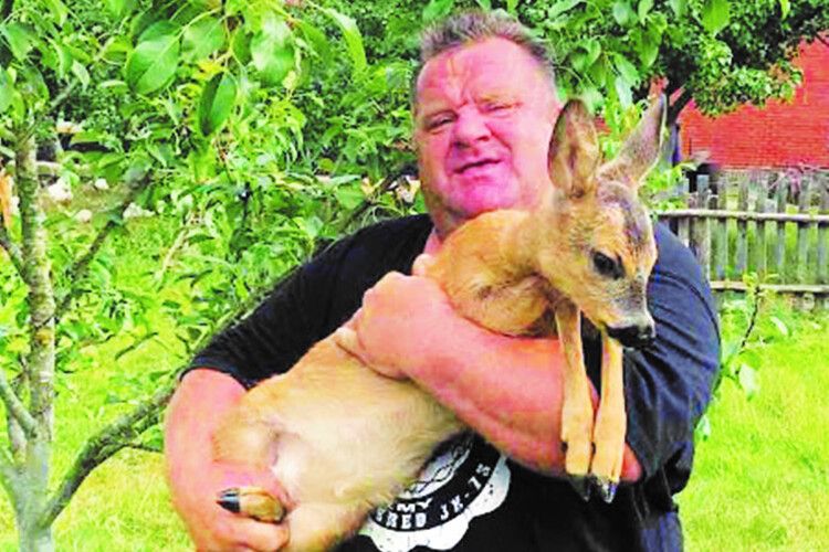 Житель Волині врятував дитинча козулі, якого хотіли роздерти лиси